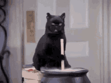Cena da série Sabrina, retratando o gato Salém mexendo em um caldeirão de Bruxas.